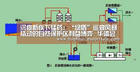 华体会电竞APP